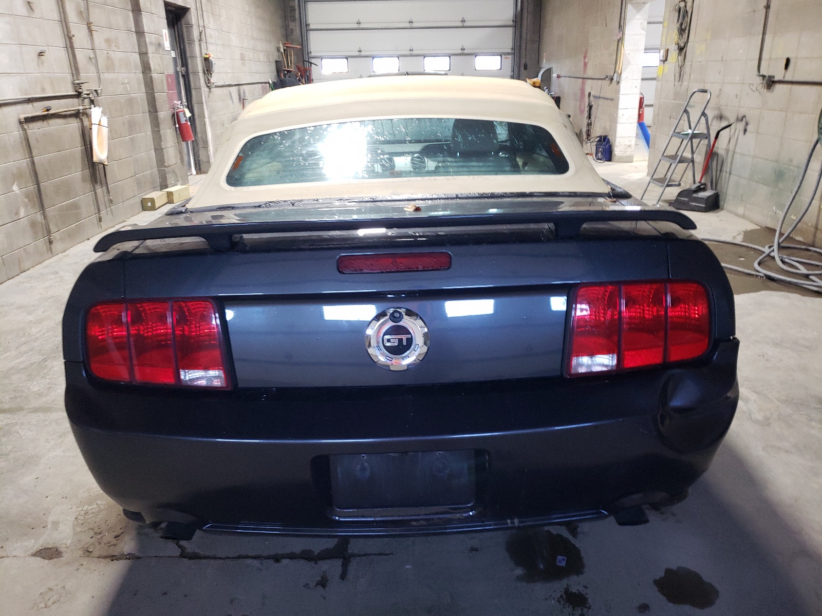 1ZVHT85HX85115580 2008 Ford Mustang Gt