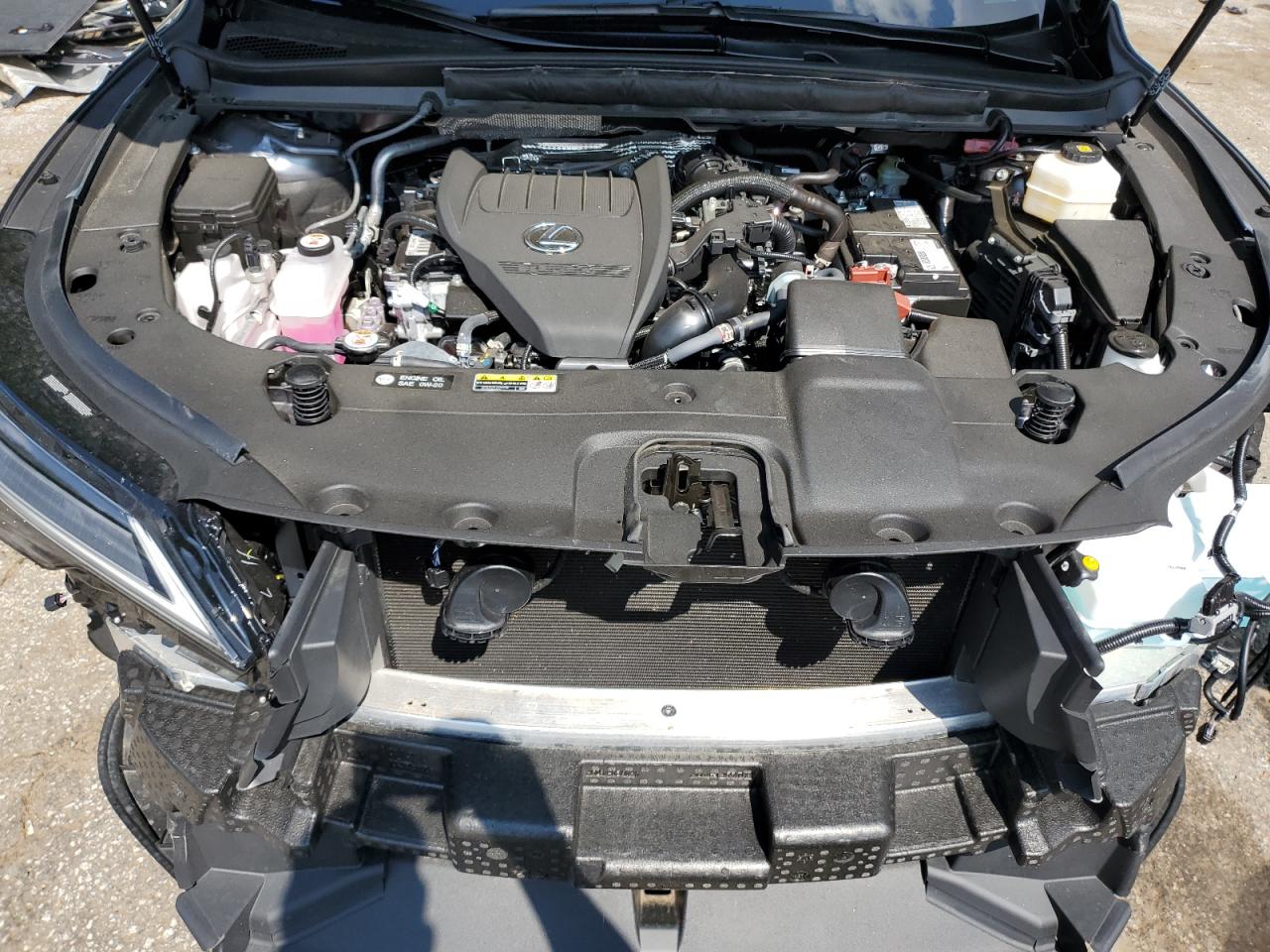 2023 Lexus Rx 350 Base VIN: 2T2BAMCA4PC006641 Lot: 66183734