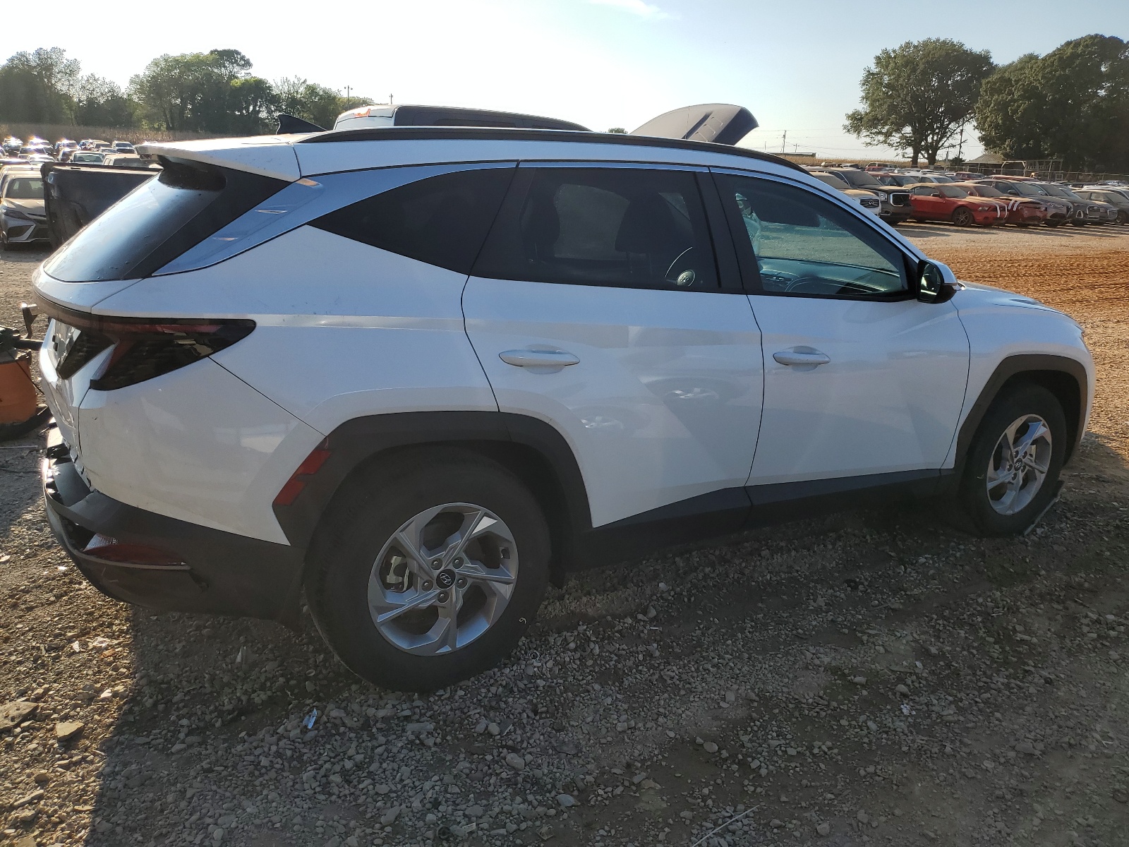 5NMJB3AE7PH243499 2023 Hyundai Tucson Sel 5NMJB3AE7PH243499 2023 Hyundai Tucson Sel