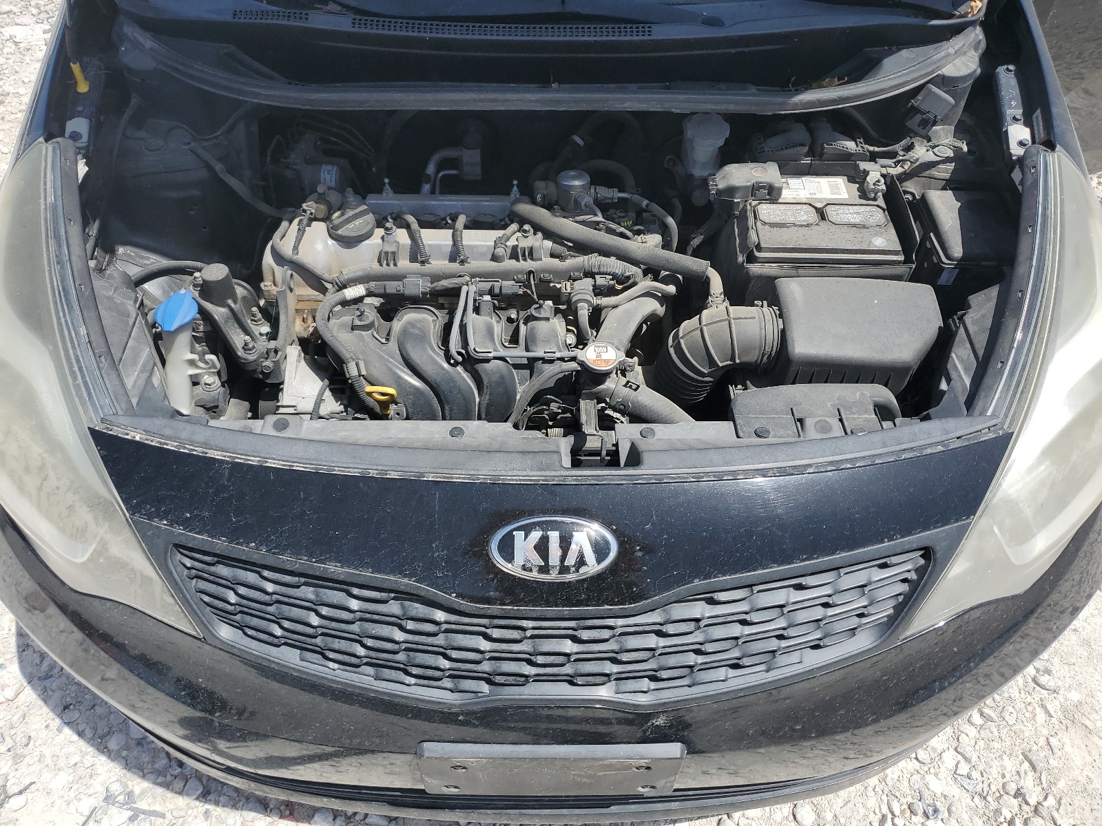 KNADM4A31E6384457 2014 Kia Rio Lx