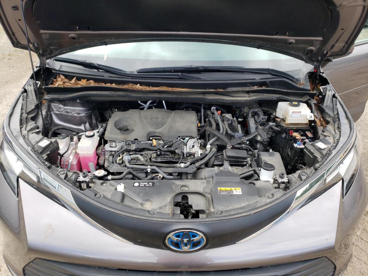 2021 Toyota Sienna Xle VIN: 5TDYRKEC8MS072185 Lot: 66697514