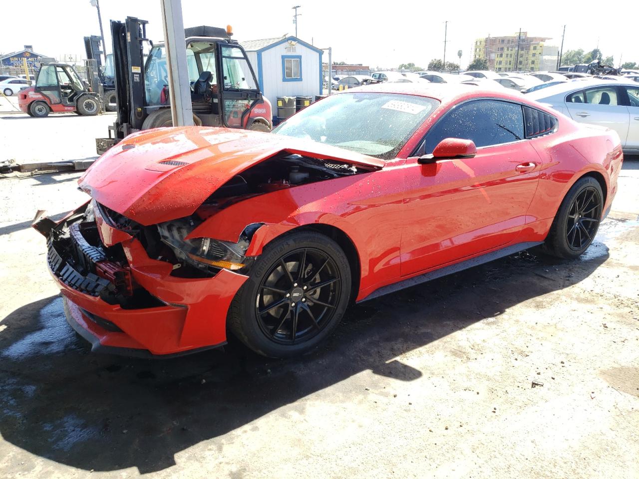 1FA6P8TH1K5172524 2019 FORD MUSTANG - Image 1