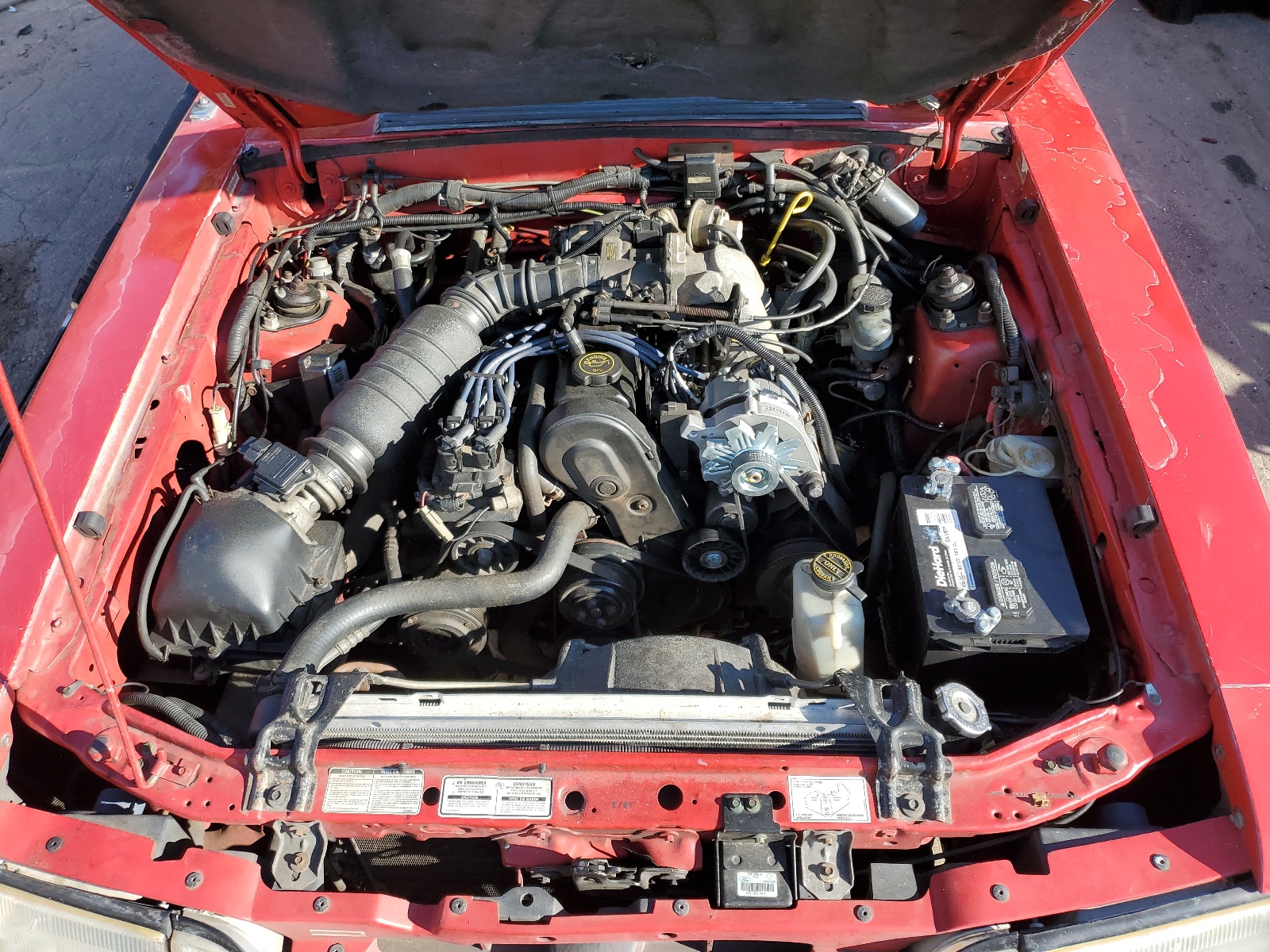 1FACP44M4PF187589 1993 Ford Mustang Lx