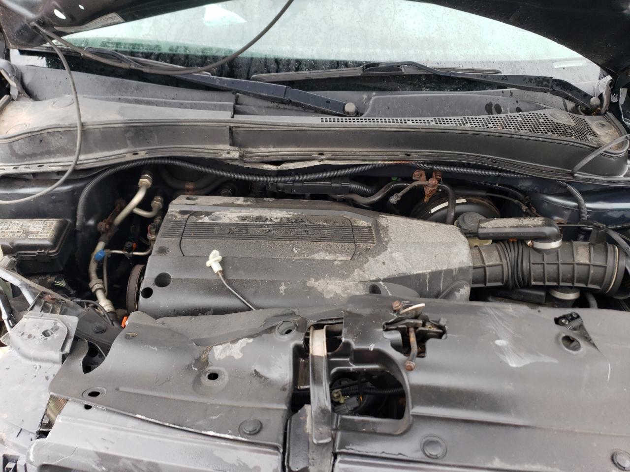 2004 Honda Pilot Exl VIN: 5FNYF185X4B005415 Lot: 64786654