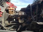 2016 Freightliner Cascadia 125  for Sale in Dyer, IN - Rollover