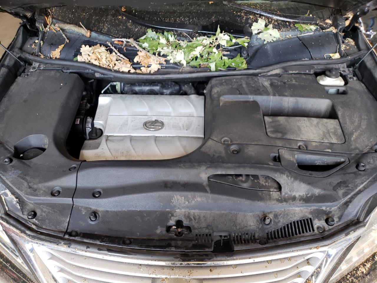 2015 Lexus Rx 350 Base VIN: 2T2BK1BA9FC337002 Lot: 67396974