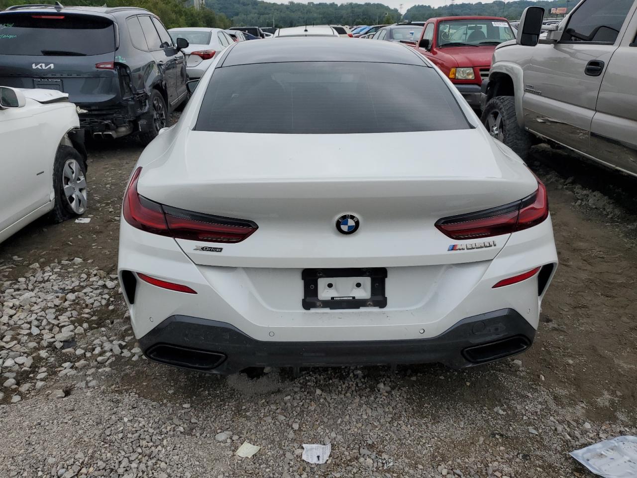 2022 BMW M850Xi VIN: WBAGV8C03NCJ56725 Lot: 66950784