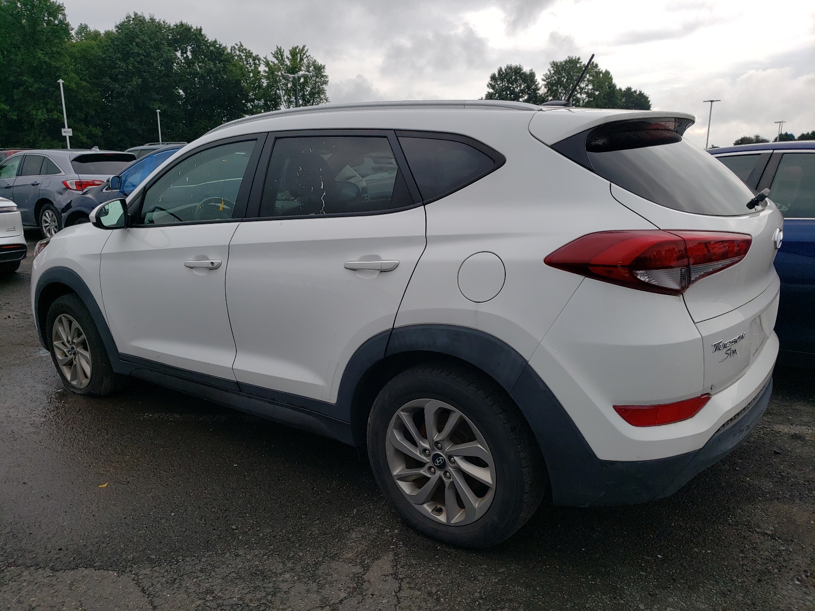 2016 Hyundai Tucson Limited vin: KM8J3CA41GU100394