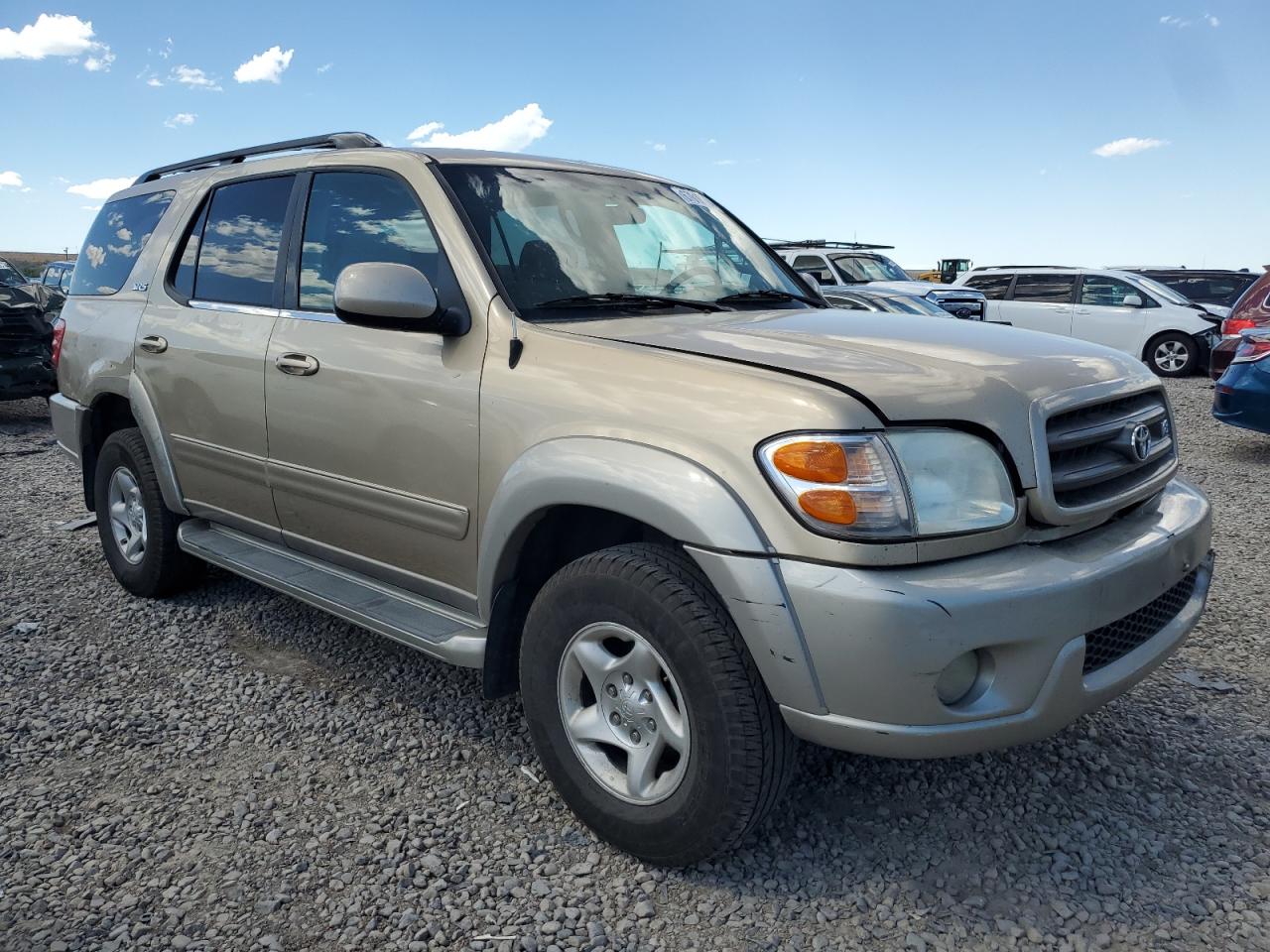 2002 Toyota Sequoia Sr5 VIN: 5TDBT44A82S091982 Lot: 67610934