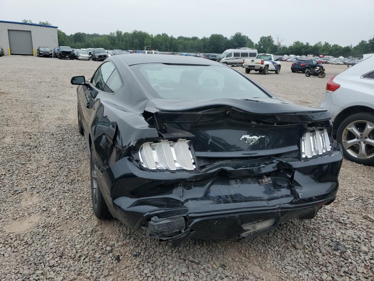 2017 Ford Mustang VIN: 1FA6P8TH4H5207730 Lot: 64578974