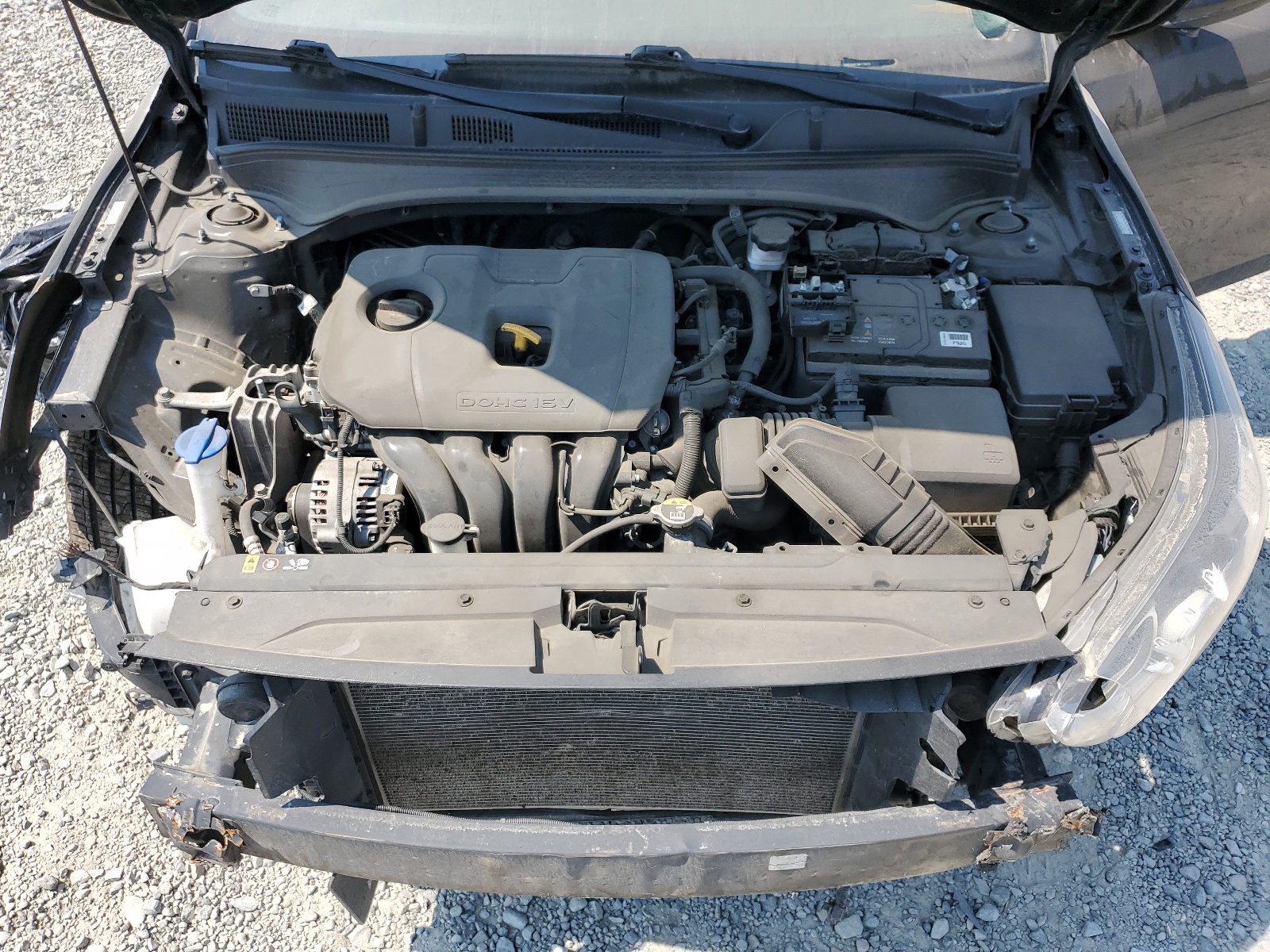 3KPF24AD7ME278856 2021 Kia Forte Fe