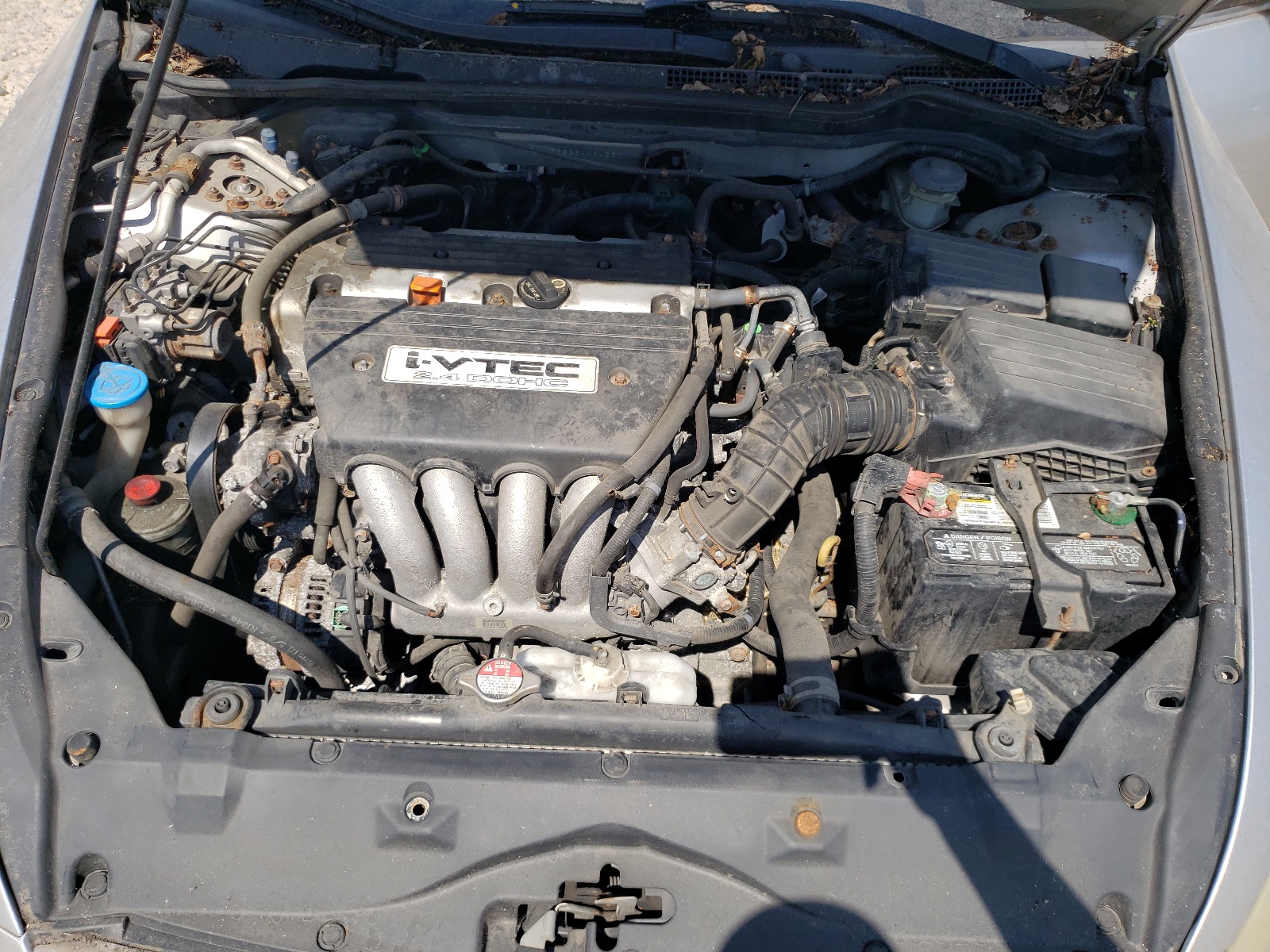 1HGCM56836A094620 2006 Honda Accord Ex