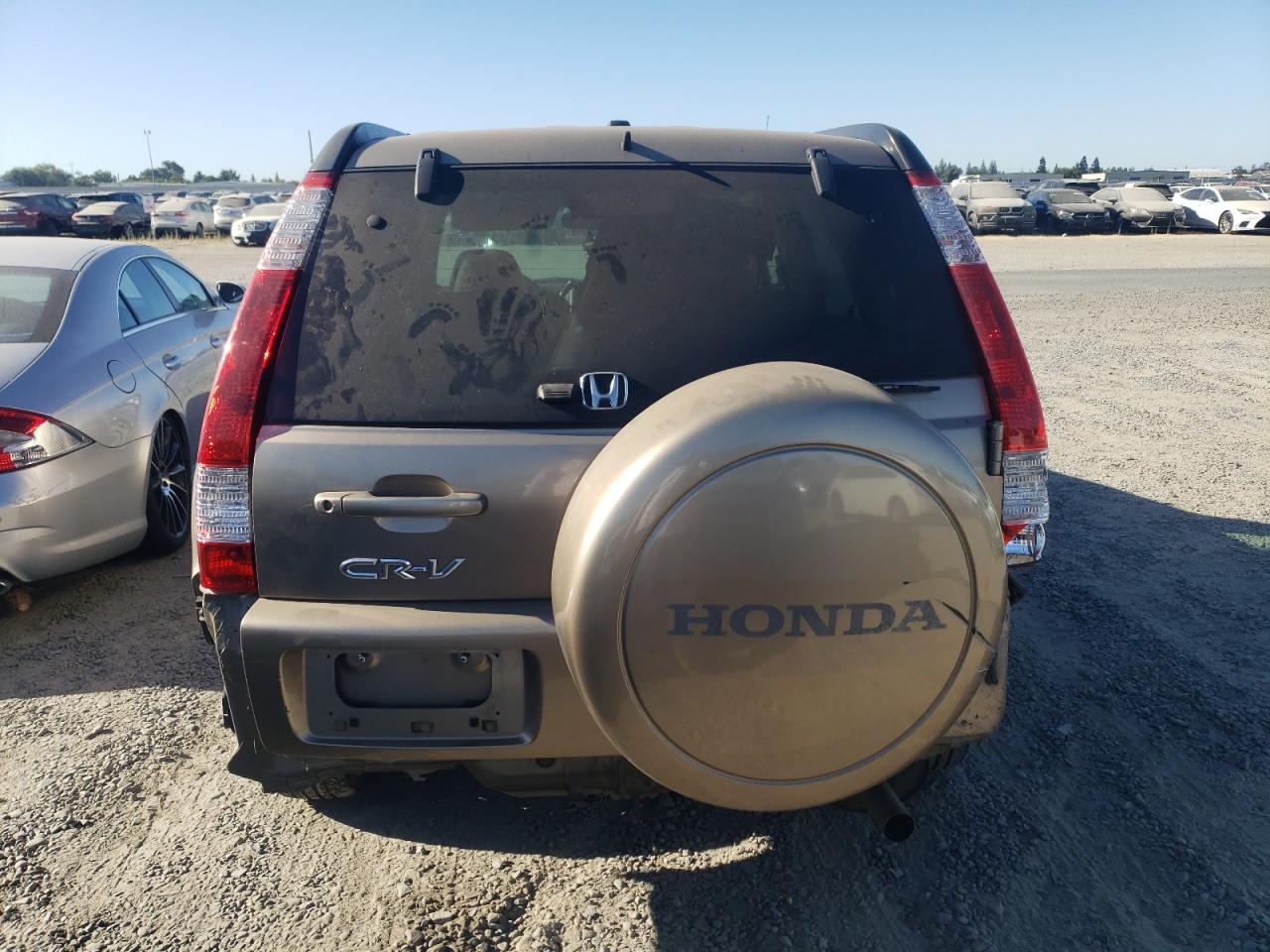 2006 Honda Cr-V Se VIN: JHLRD78926C051565 Lot: 66386254