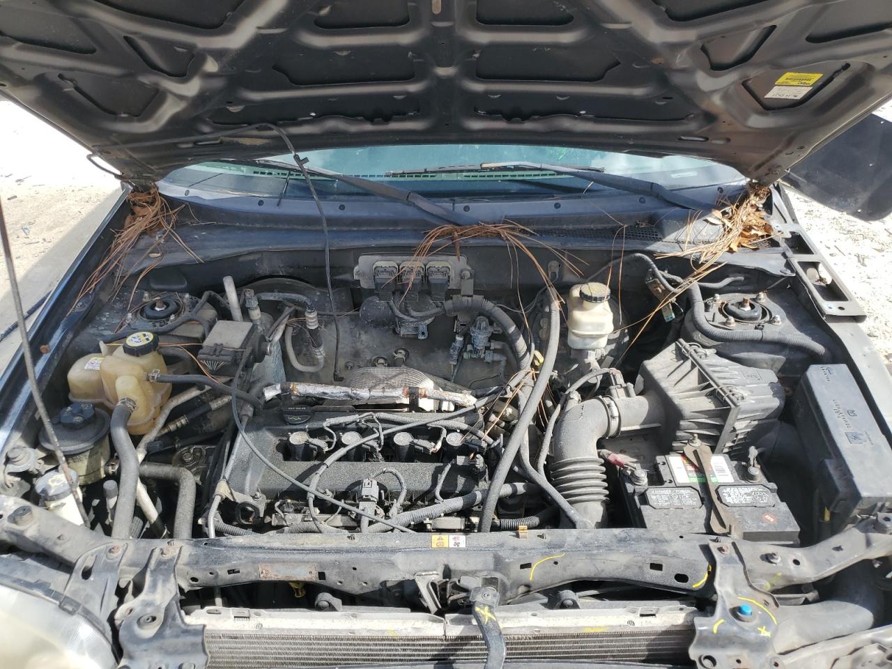 2005 Ford Escape Xls VIN: 1FMYU02Z45KD40276 Lot: 68739534