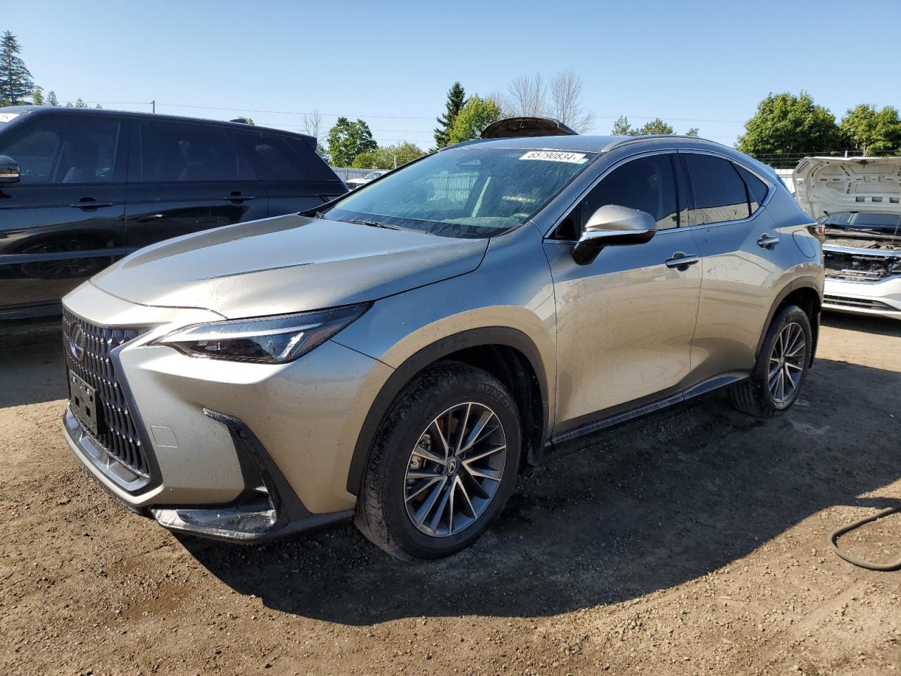 2T2ADCEZ4RC004990 2024 LEXUS NX - Image 1