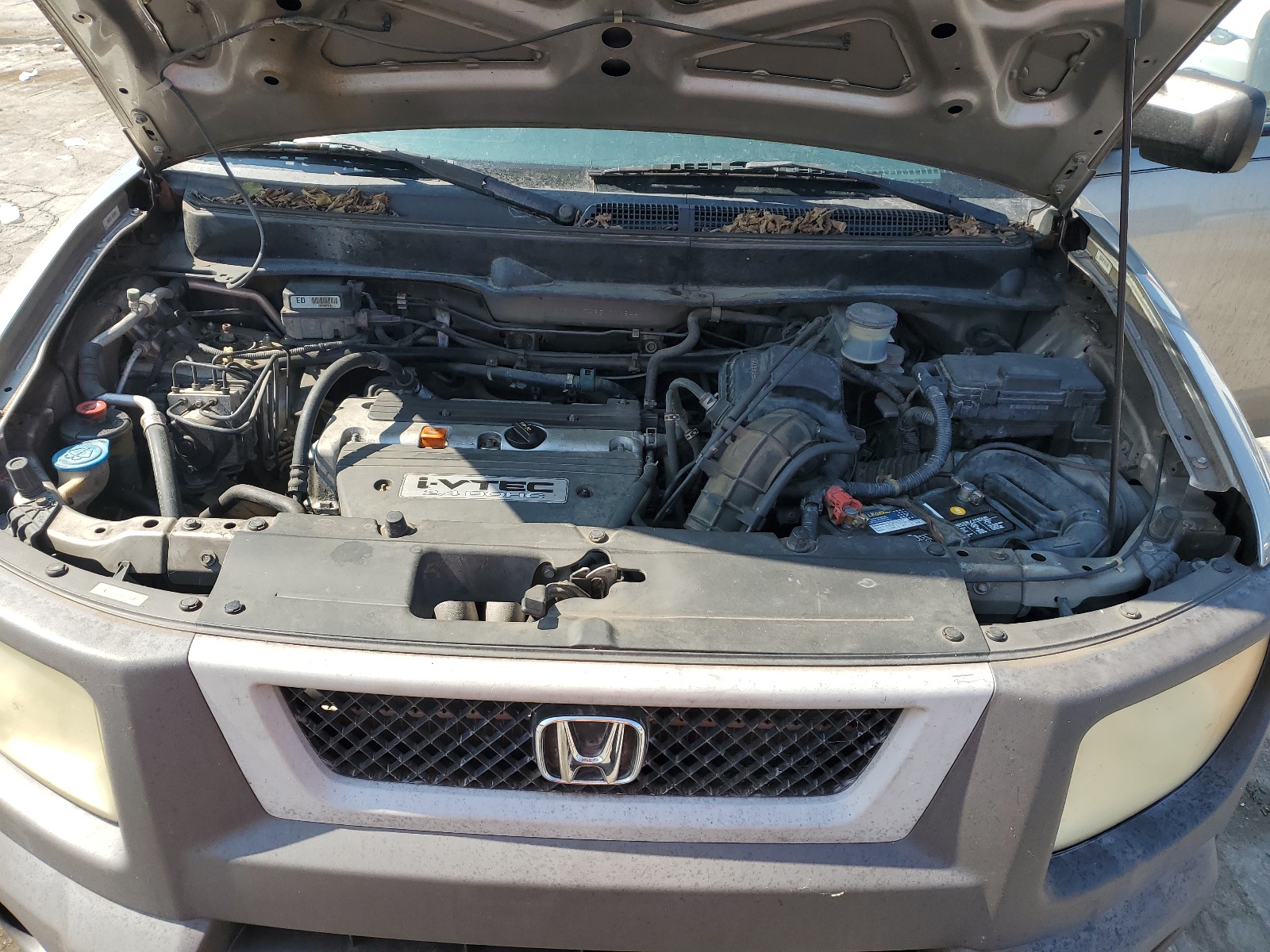 5J6YH17563L011844 2003 Honda Element Ex