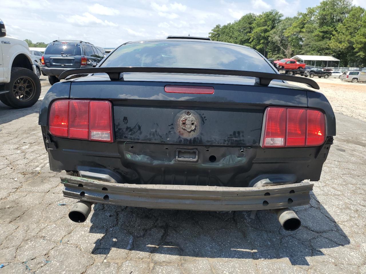 2006 Ford Mustang Gt VIN: 1ZVHT82H965103065 Lot: 66681154