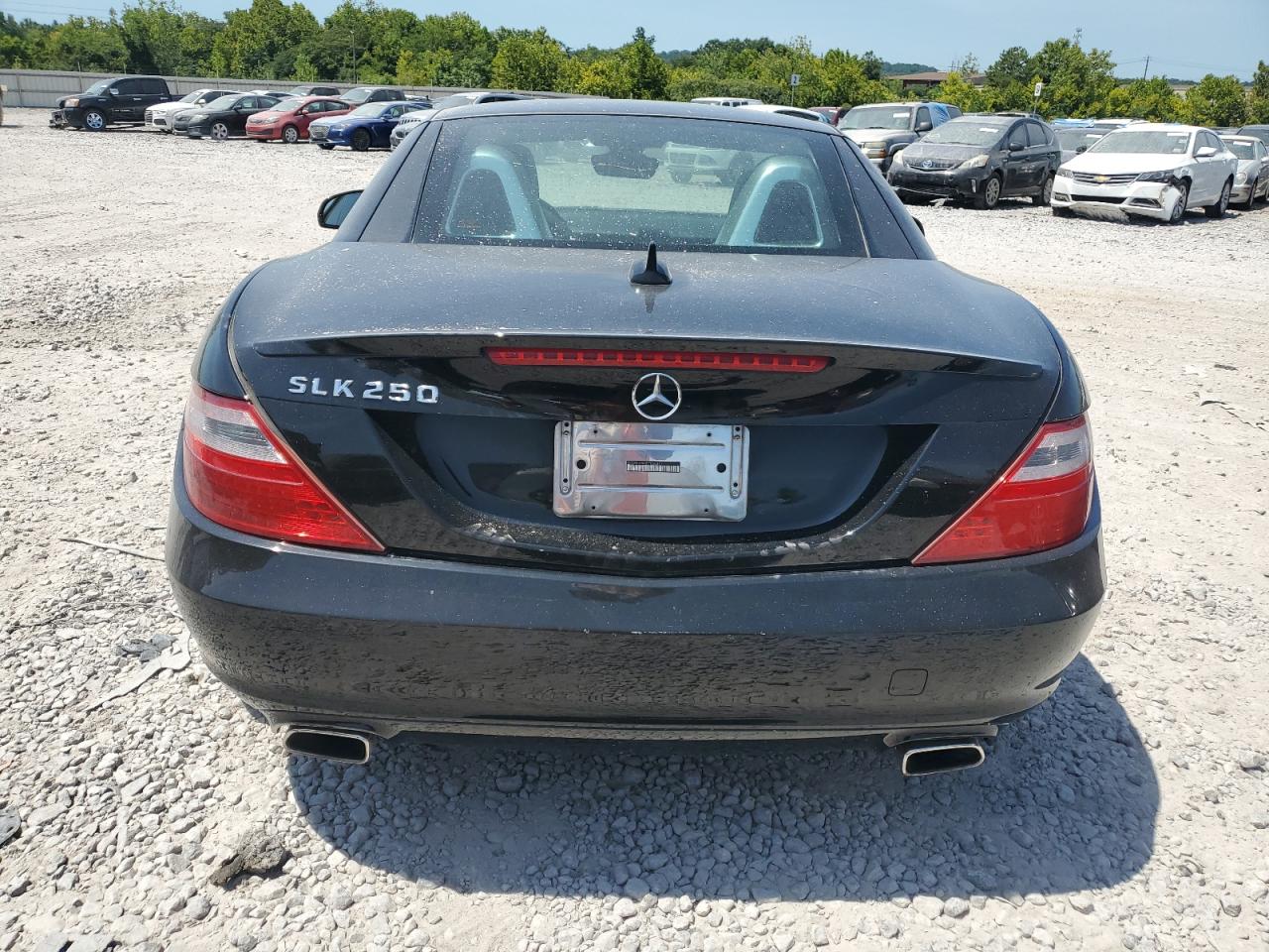 VIN WDDPK4HA5DF066811 2013 MERCEDES-BENZ SLK-CLASS no.6