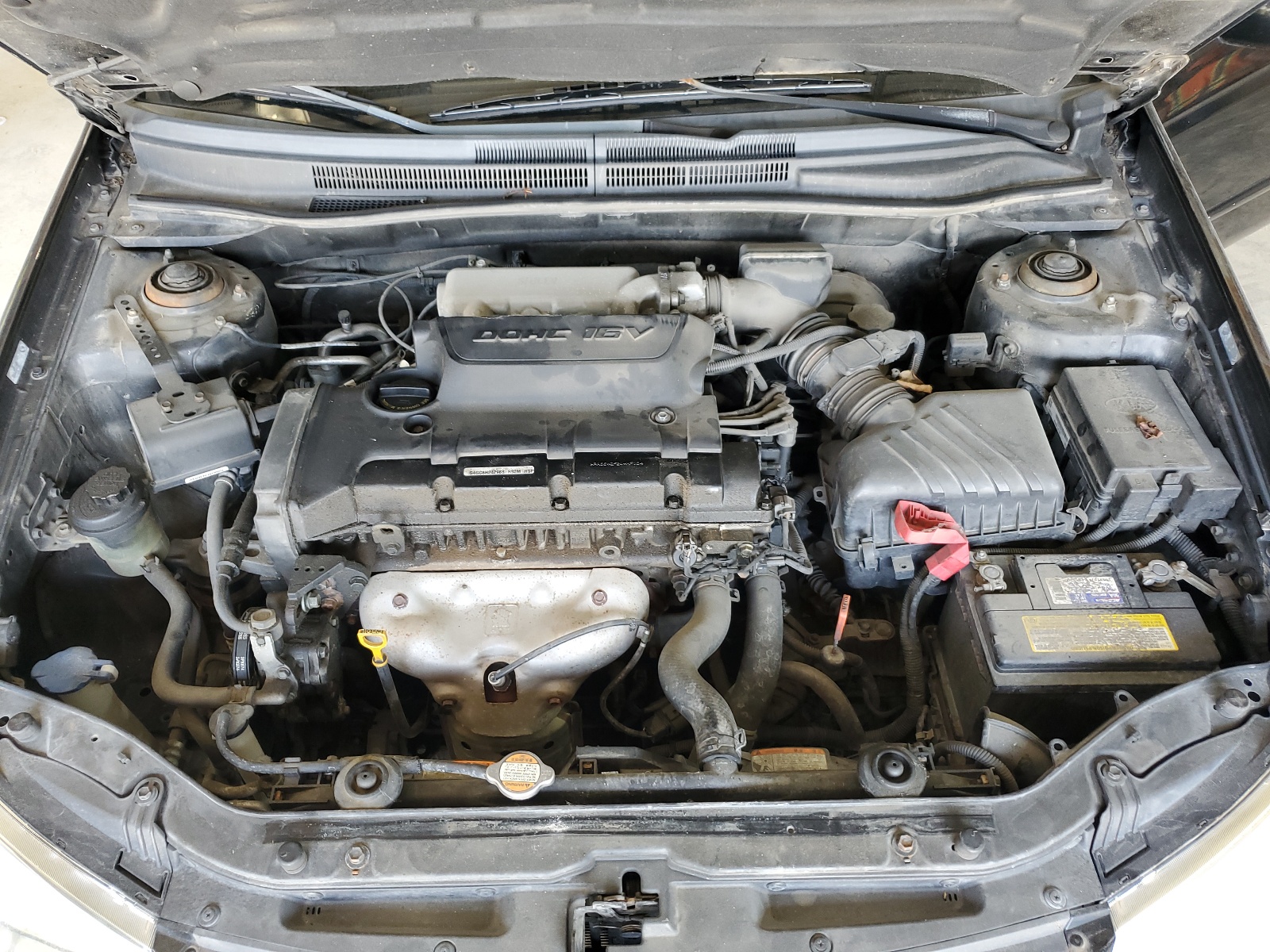 KNAFE121485569100 2008 Kia Spectra Ex