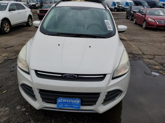  FORD ESCAPE 2013 White