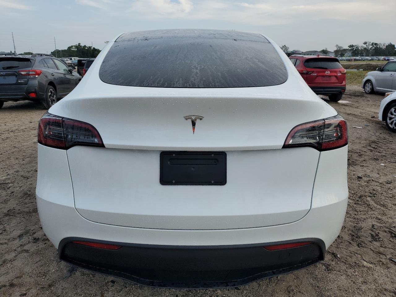 2024 Tesla Model Y VIN: 7SAYGDEDXRF129365 Lot: 66990664