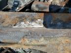 2010 Ford F250 Super Duty na sprzedaż w Grenada, MS - Burn