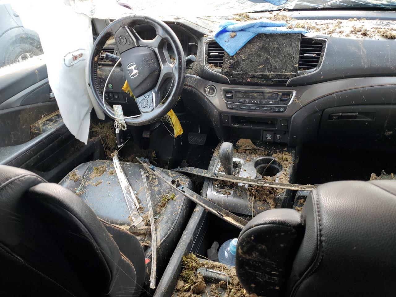 2019 Honda Pilot Exl VIN: 5FNYF6H77KB500473 Lot: 67294724