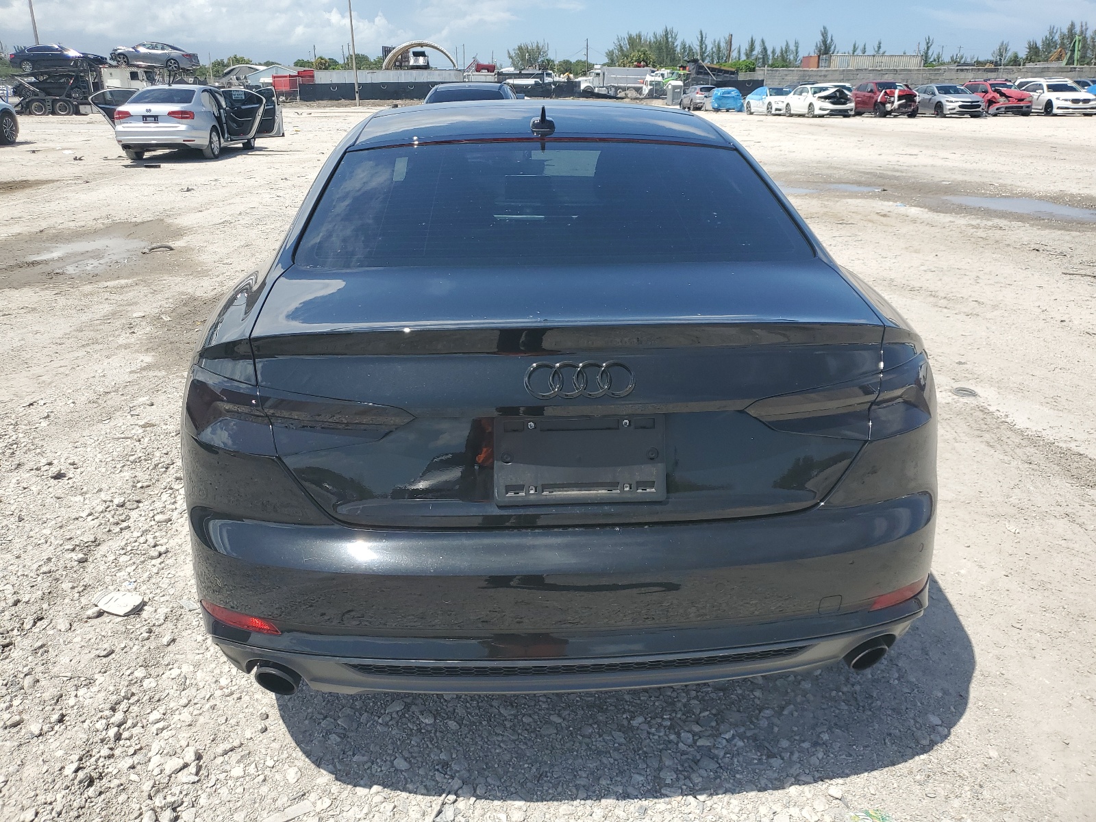 WAUTNAF59KA054883 2019 Audi A5 Premium Plus