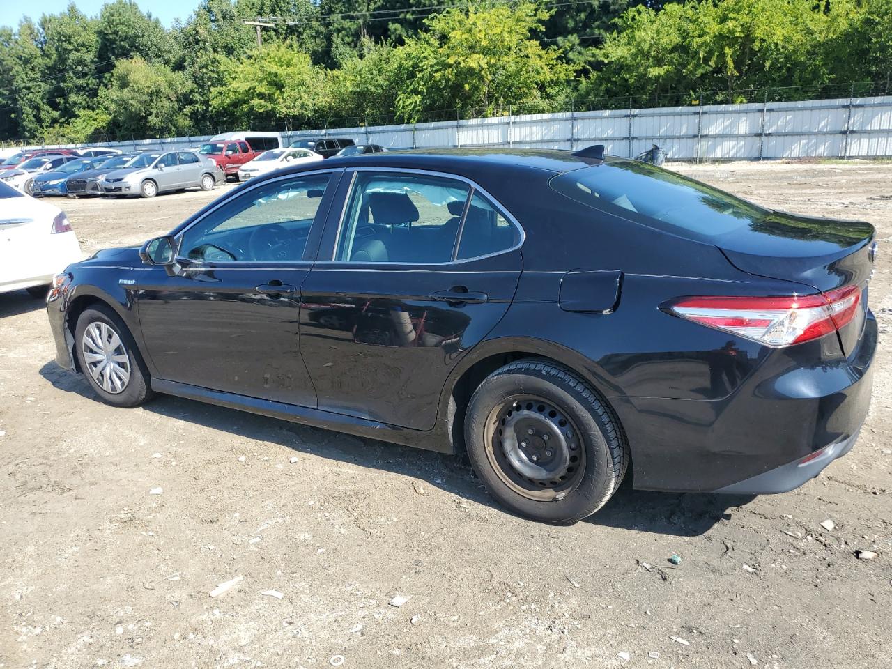 4T1B31HK0KU513557 2019 TOYOTA CAMRY - Image 2