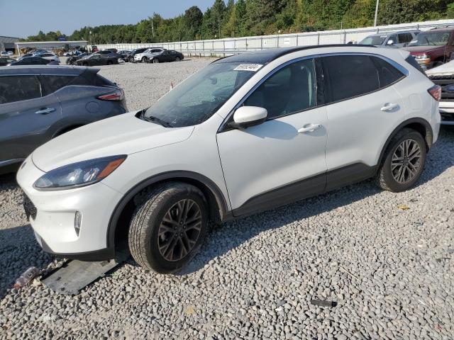  FORD ESCAPE 2020 White