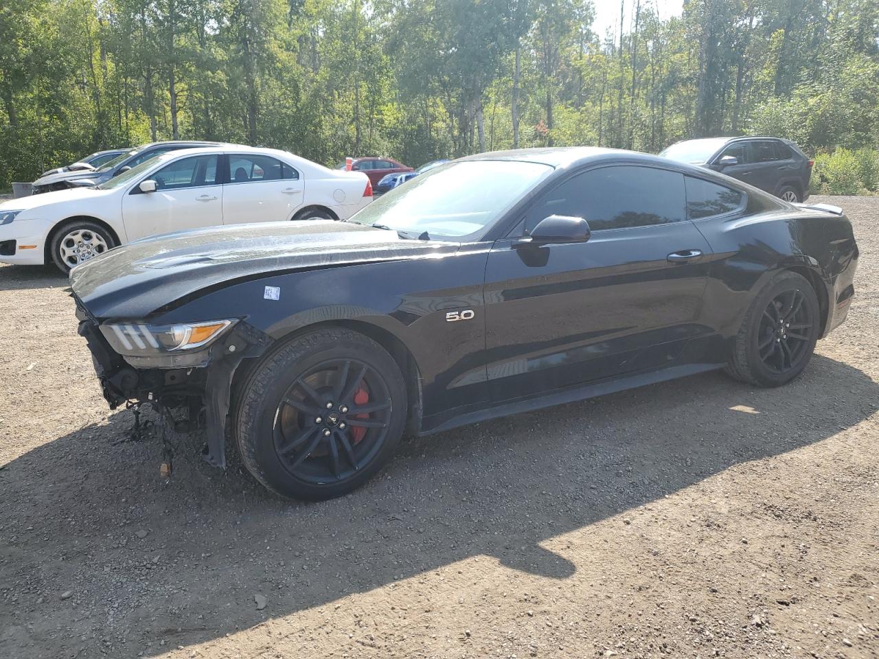 1FA6P8CF4G5305475 2016 FORD MUSTANG - Image 1