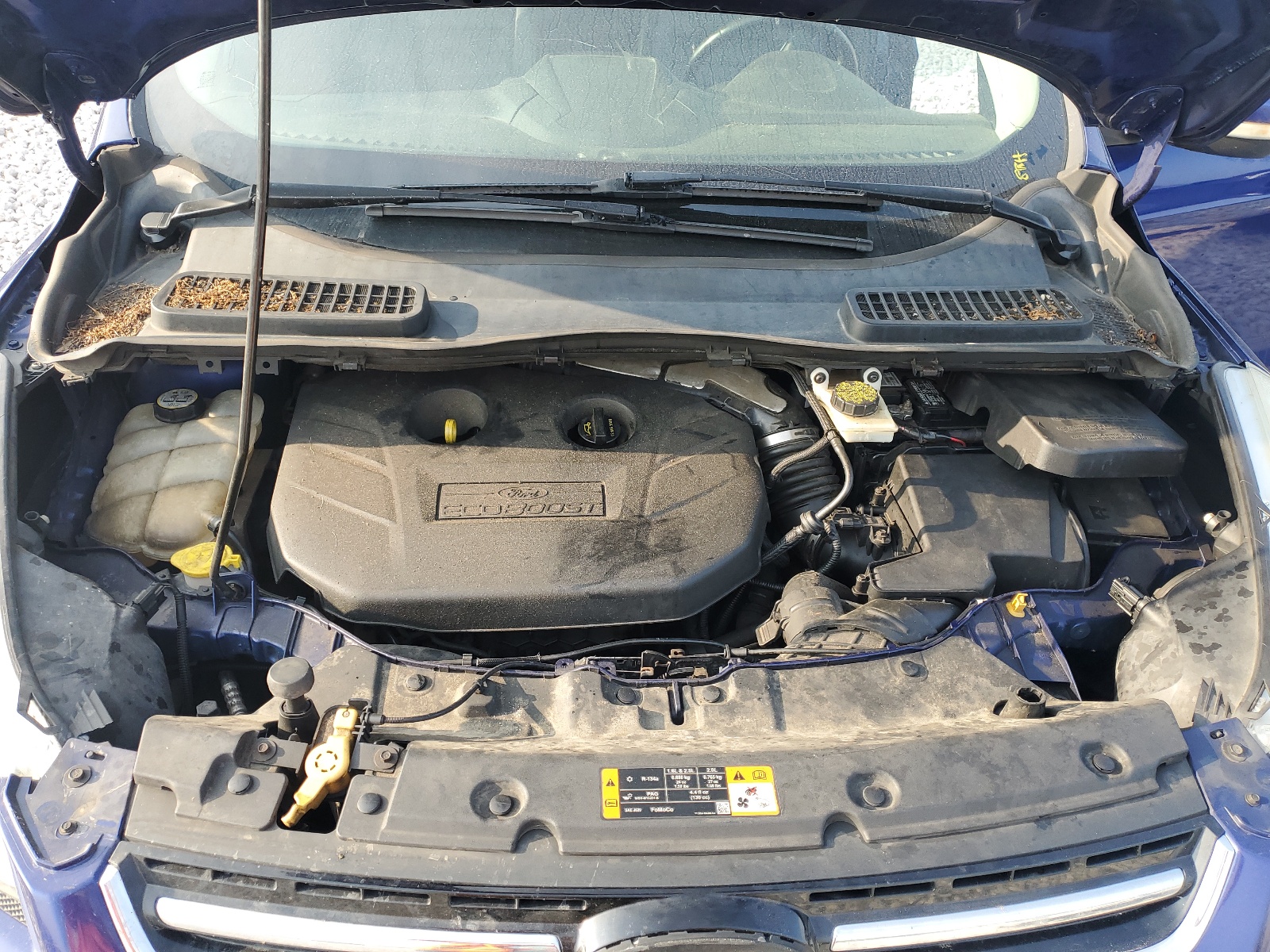 1FMCU9H91DUA72456 2013 Ford Escape Sel