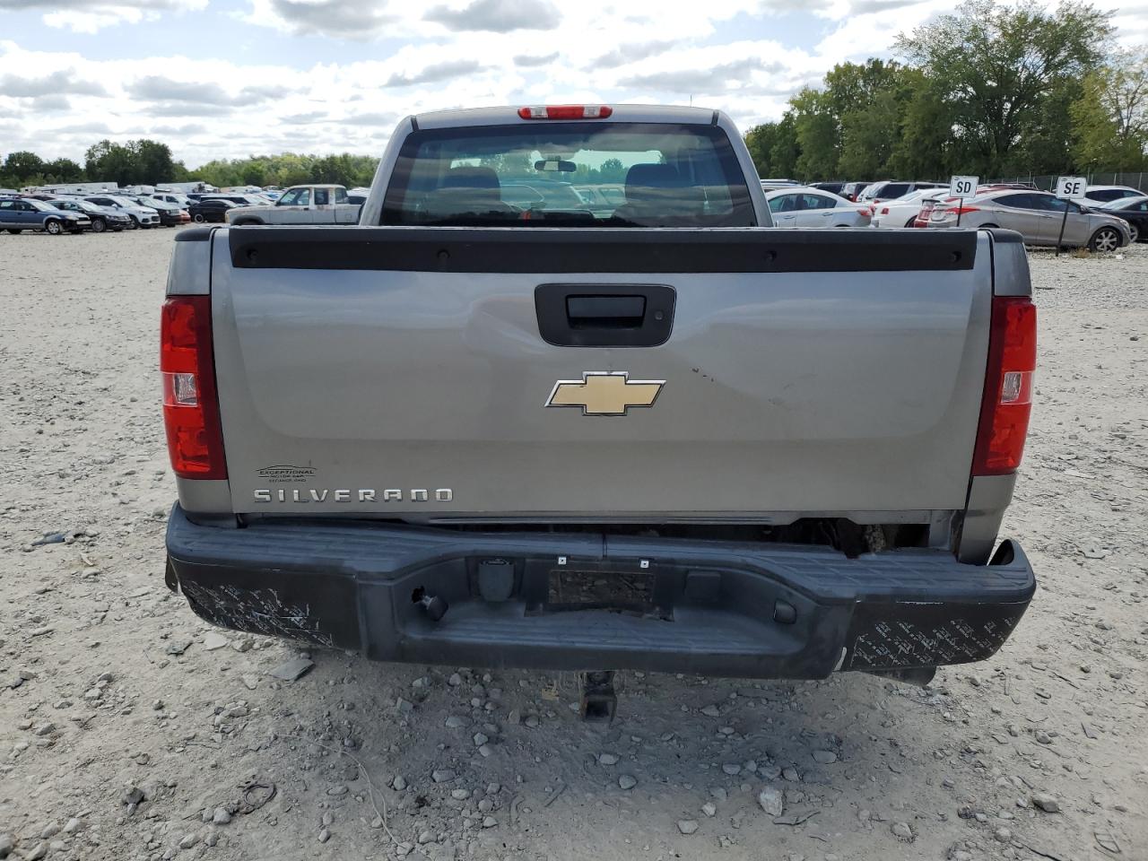 2009 Chevrolet Silverado K1500 VIN: 2GCEK19C991101042 Lot: 67466104