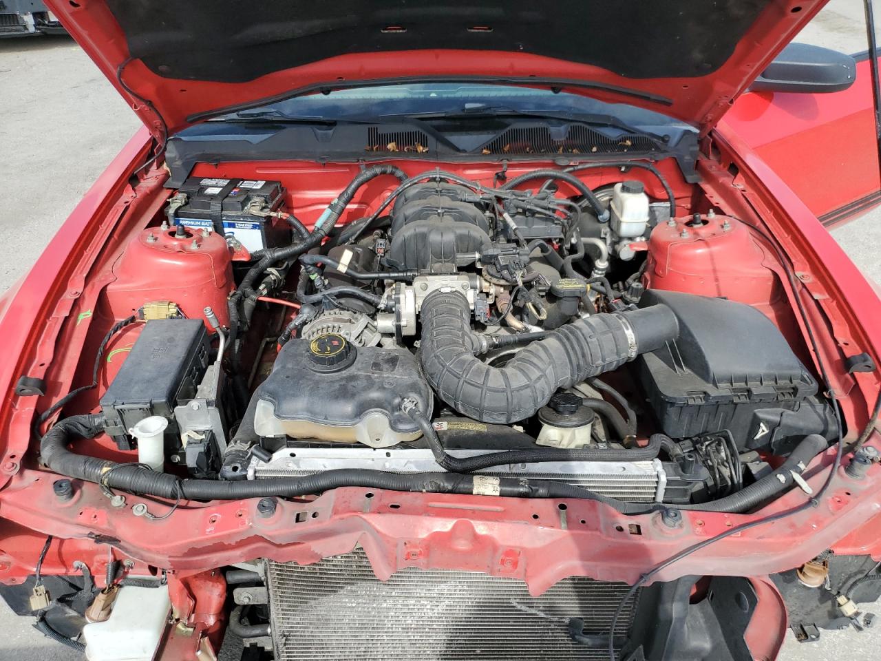 2010 Ford Mustang VIN: 1ZVBP8ENXA5142607 Lot: 65051244