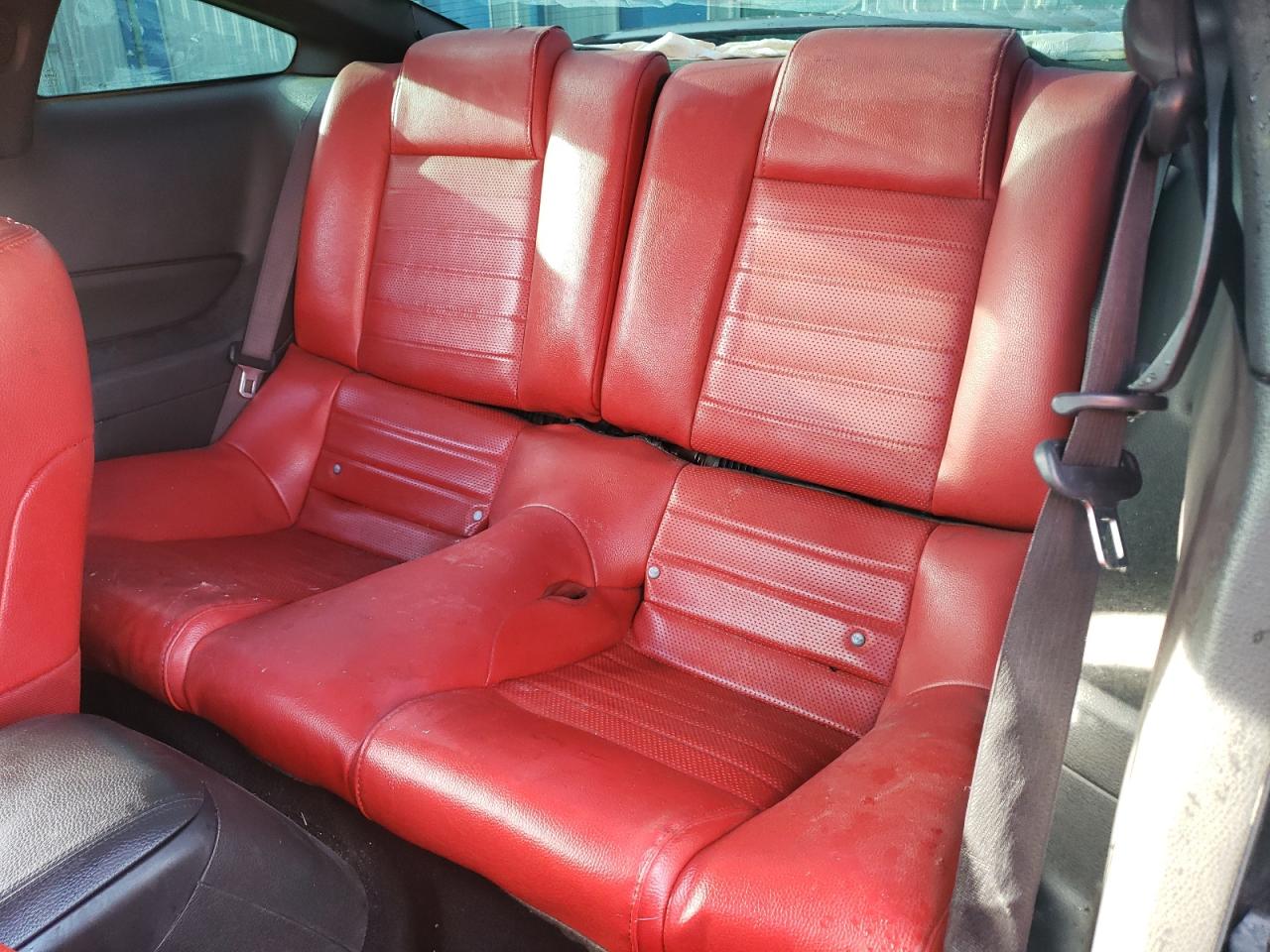 2009 Ford Mustang Gt VIN: 1ZVHT82H495130064 Lot: 65915184