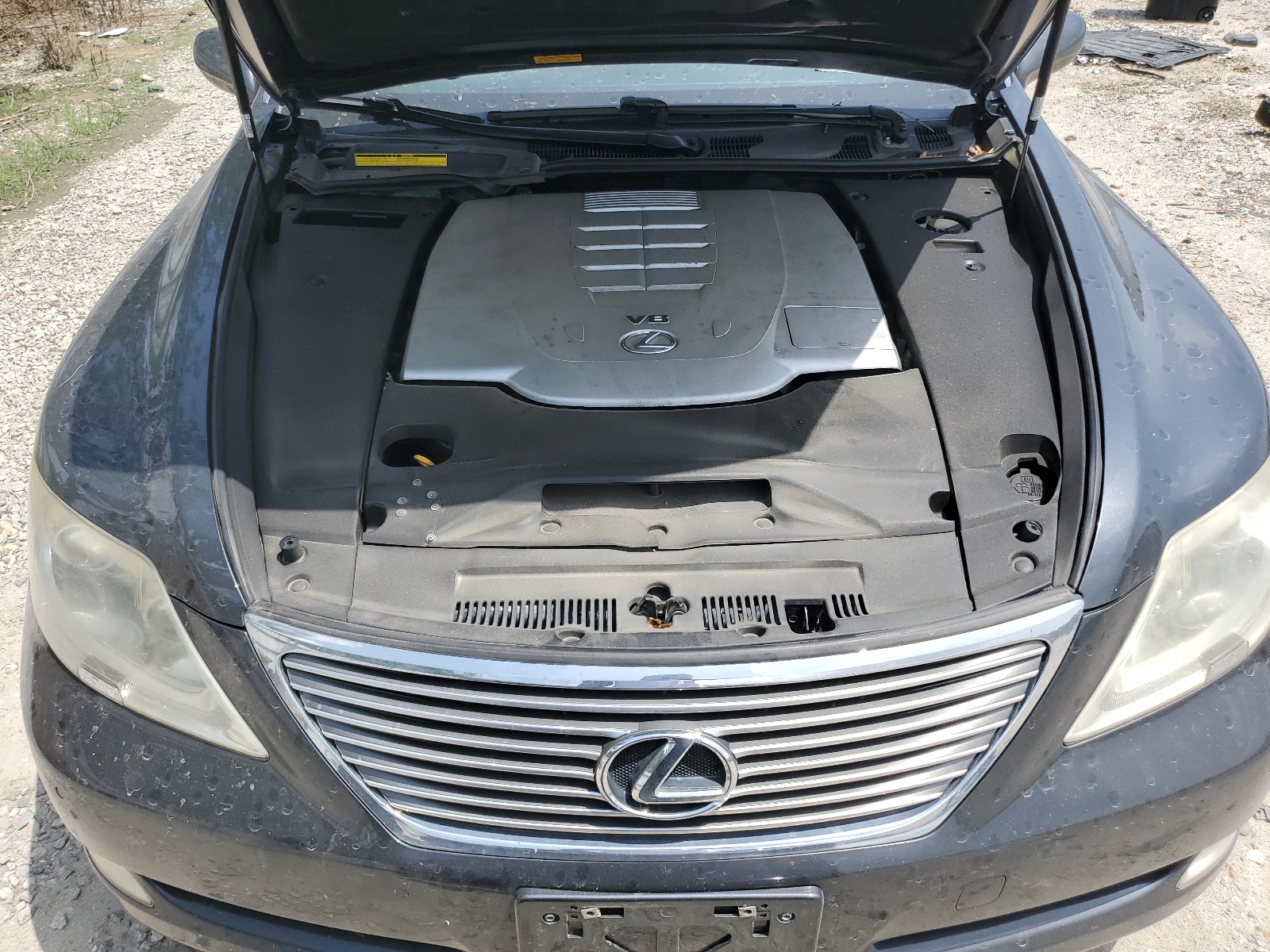 JTHBL46F075045115 2007 Lexus Ls 460