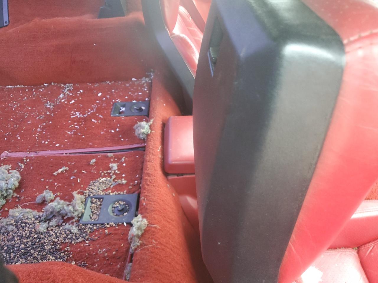 1986 Chevrolet Corvette VIN: 1G1YY0785G5110488 Lot: 69115544