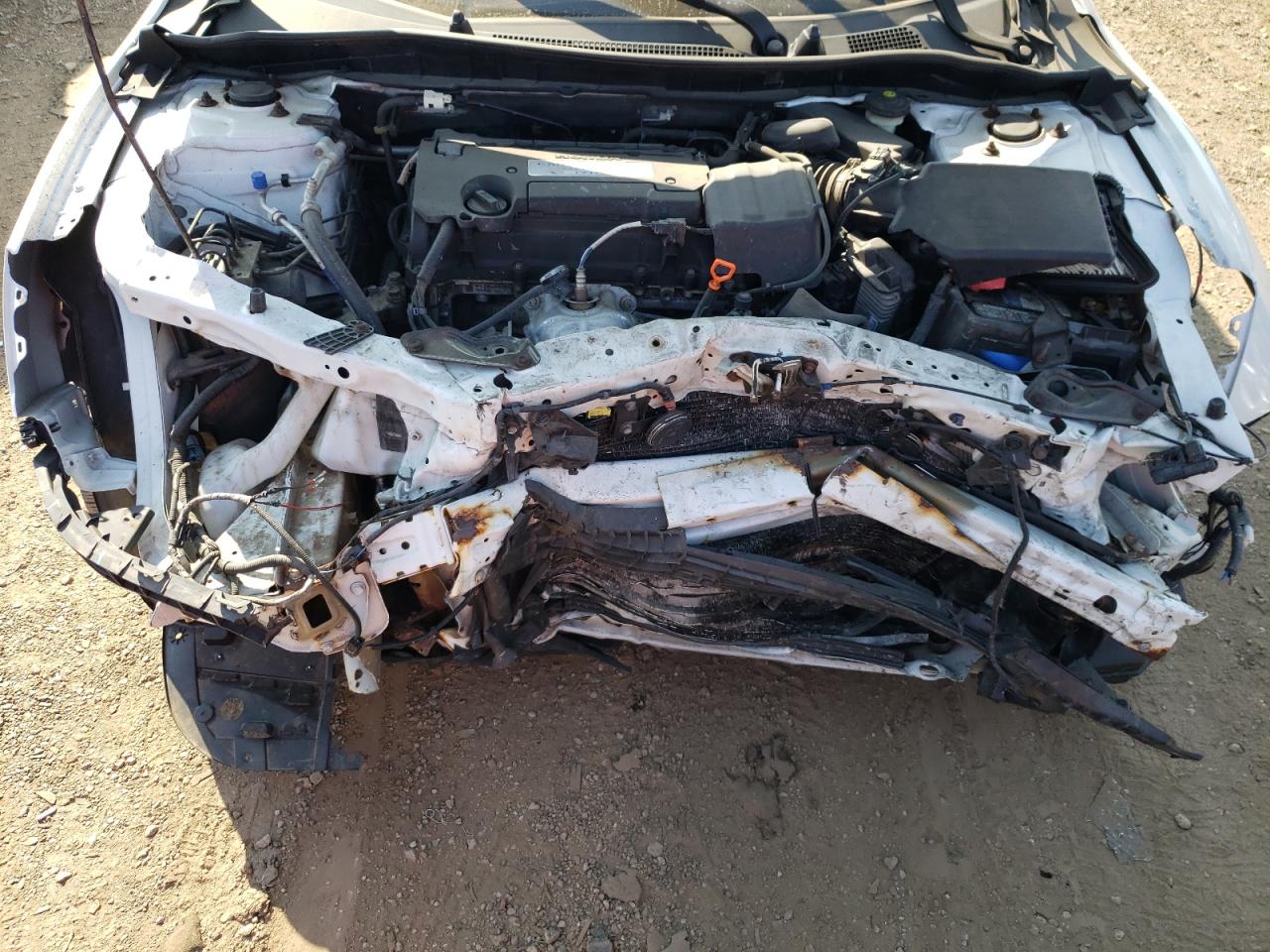 1HGCR2F31EA291482 2014 Honda Accord Lx