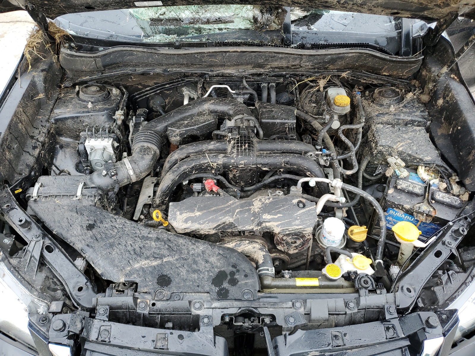 JF2SJAEC2HH555139 2017 Subaru Forester 2.5I Premium