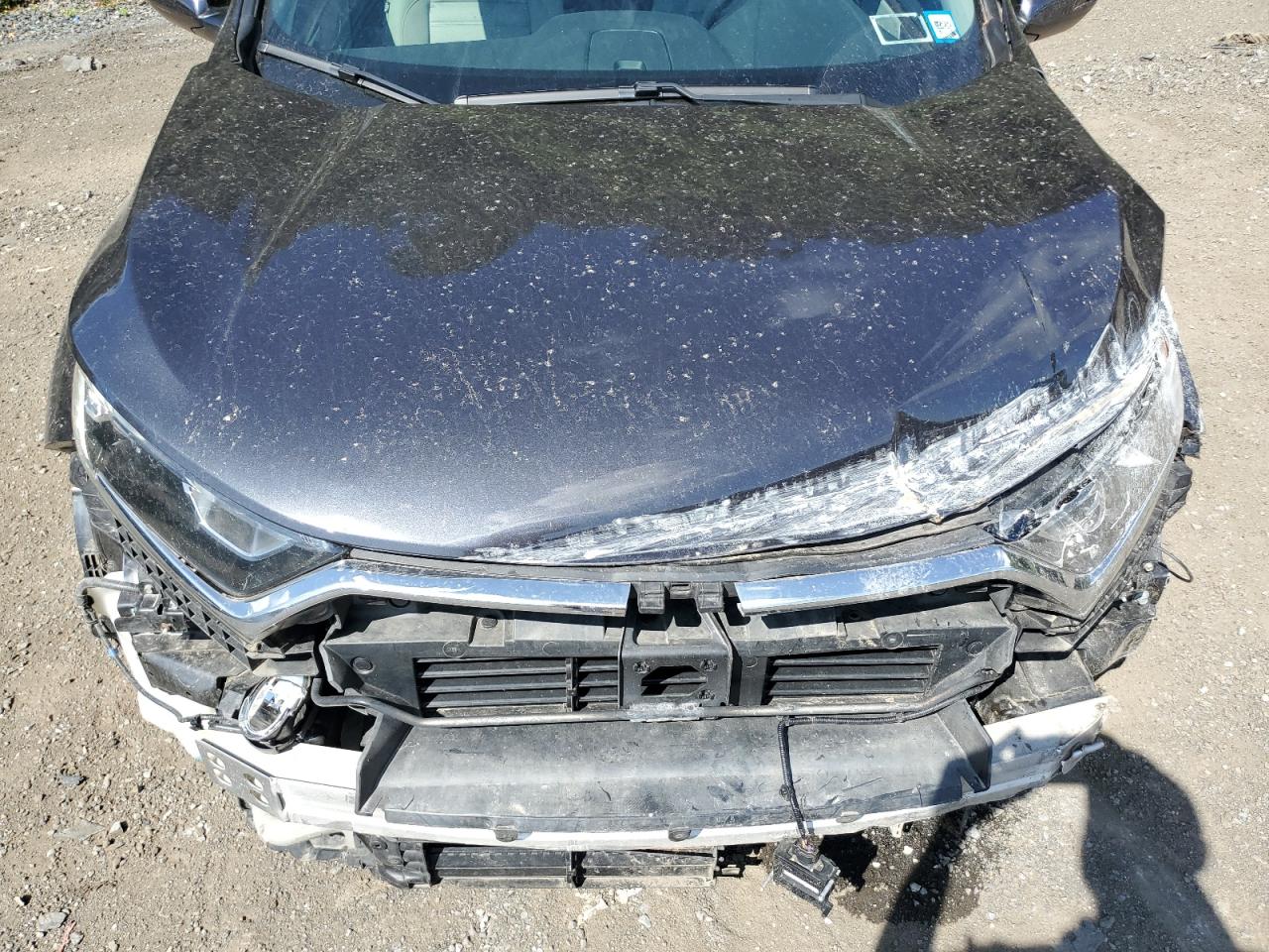 2019 Honda Cr-V Ex VIN: 2HKRW2H57KH604684 Lot: 68445424