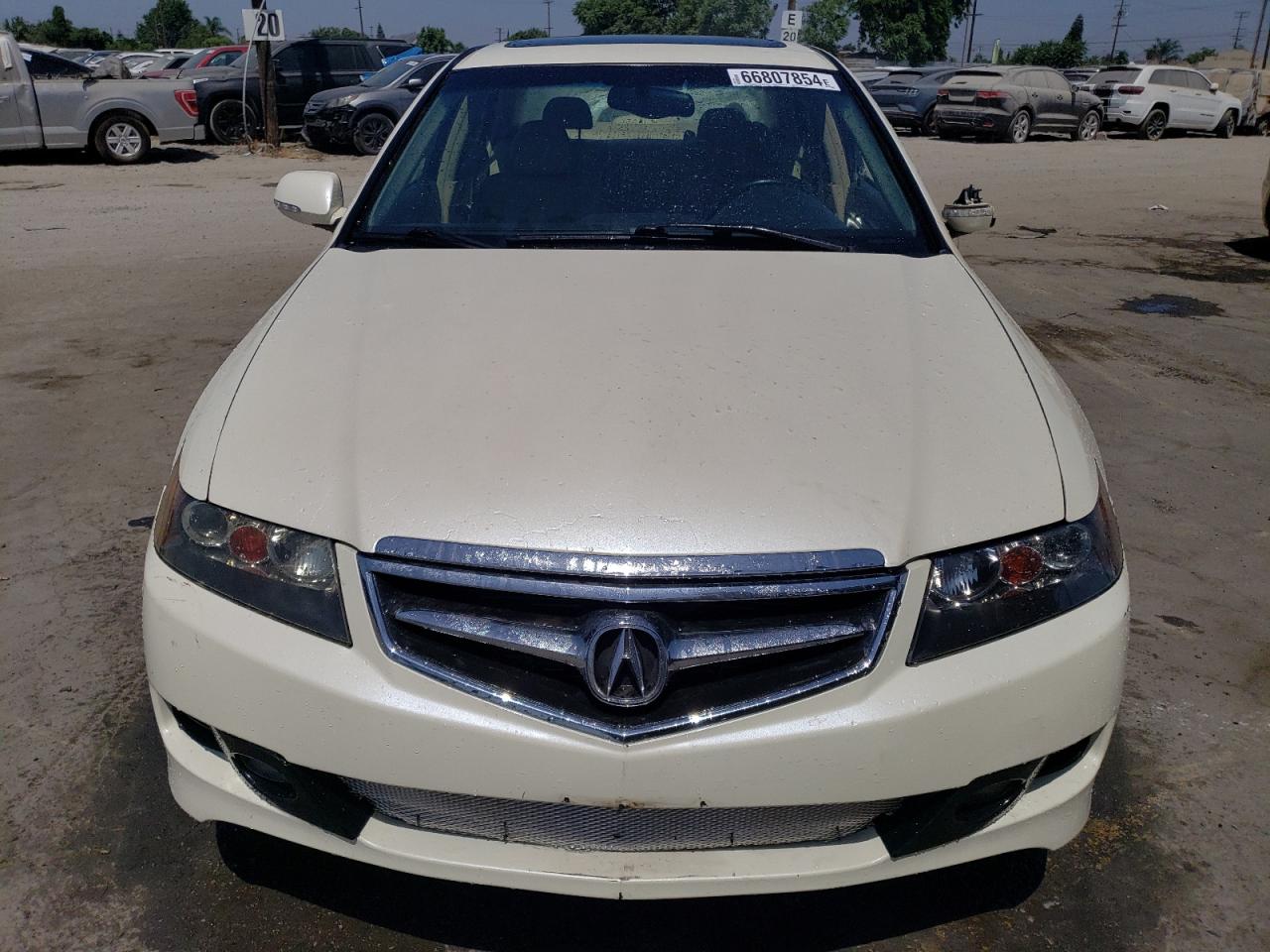 2005 Acura Tsx VIN: JH4CL96985C028437 Lot: 66807854