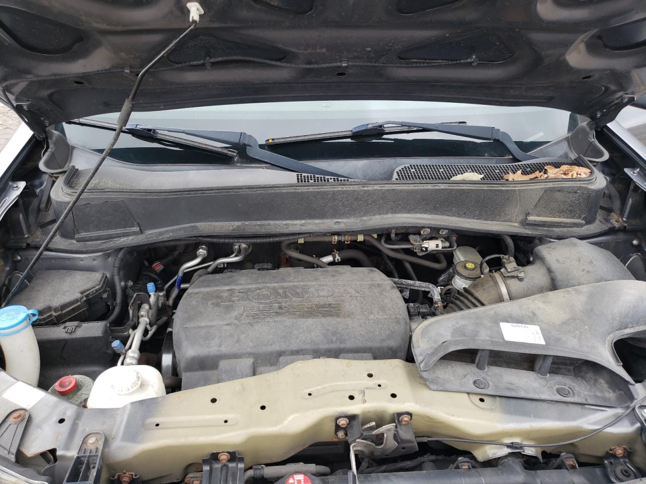 2013 Honda Pilot Exl VIN: 5FNYF4H51DB050261 Lot: 66581864