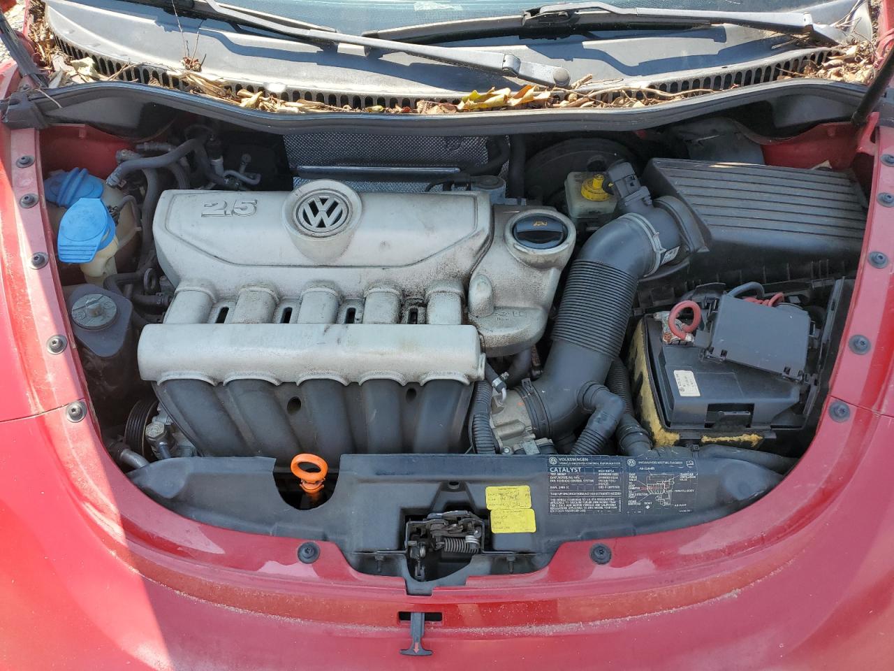 2006 Volkswagen New Beetle Convertible VIN: 3VWPF31Y06M309411 Lot: 67232924