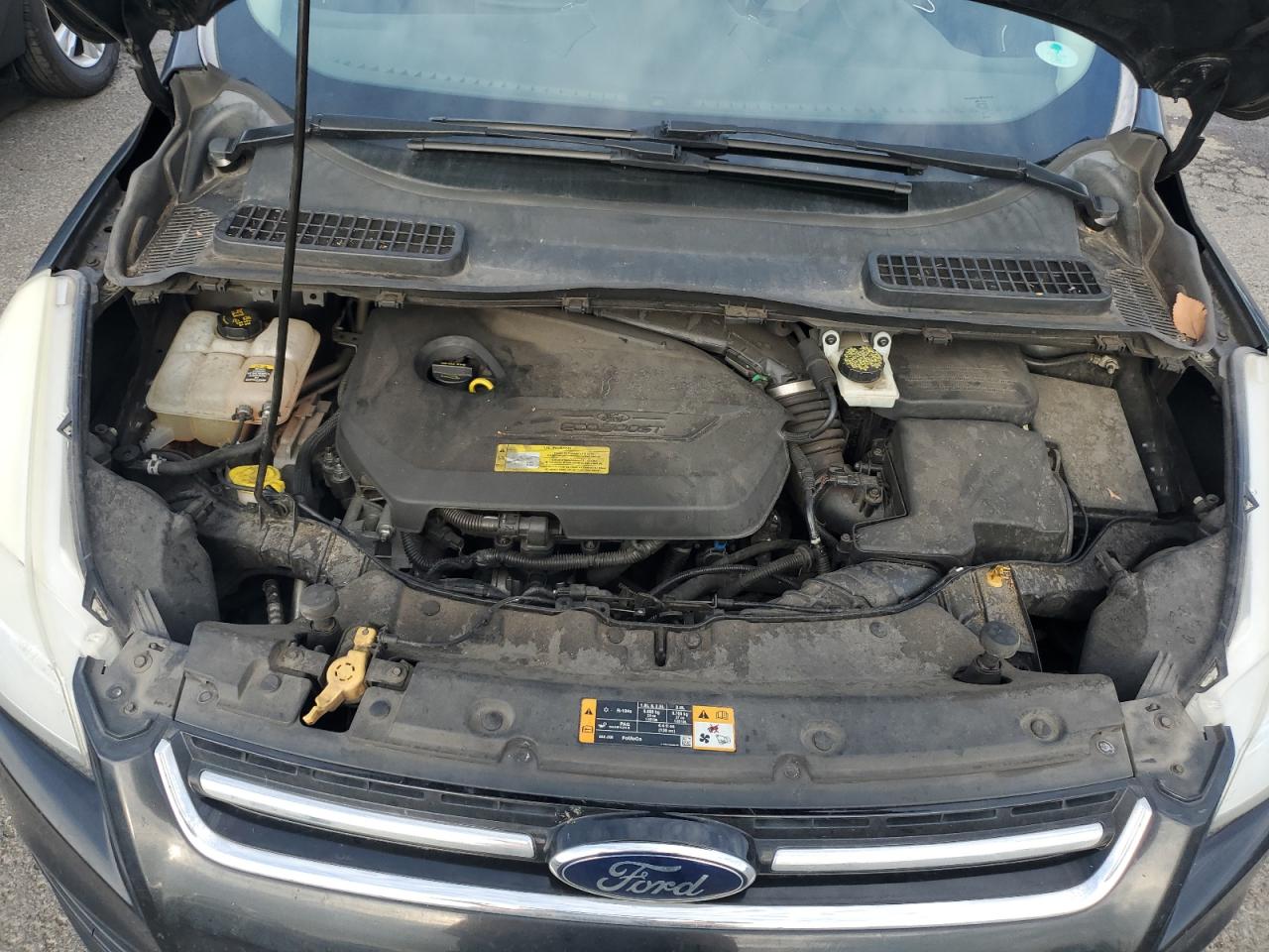 2013 Ford Escape Sel VIN: 1FMCU0HX4DUB03015 Lot: 67896854