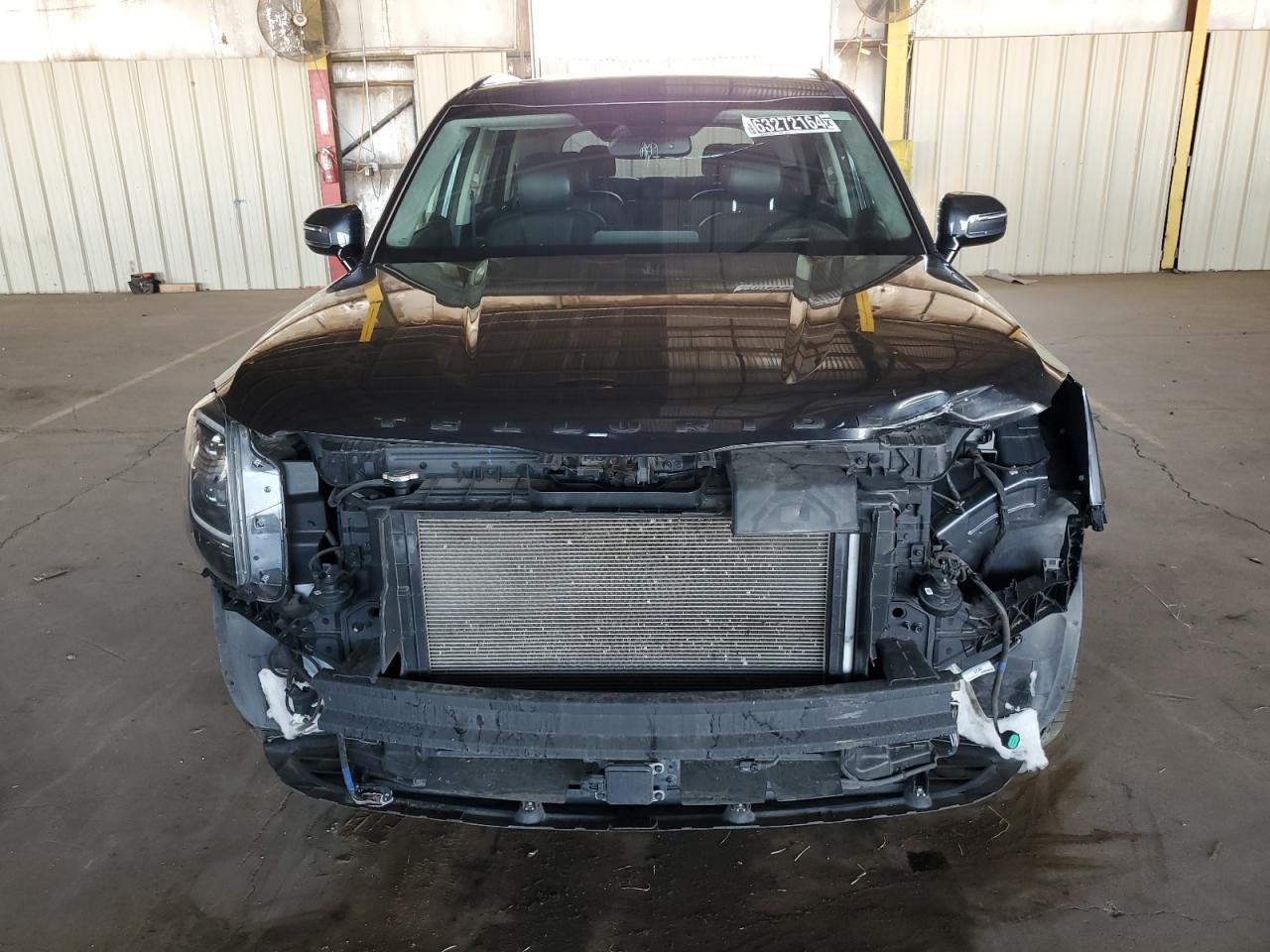 2021 Kia Telluride Sx VIN: 5XYP5DHC9MG162294 Lot: 63272164