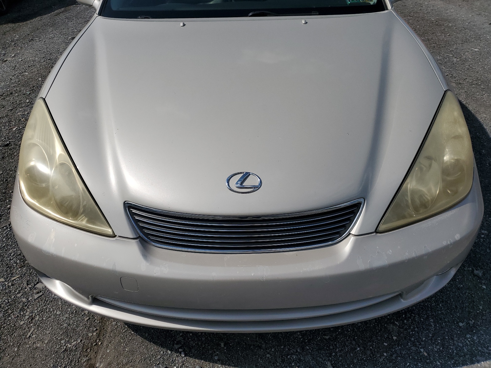 JTHBA30G955108999 2005 Lexus Es 330