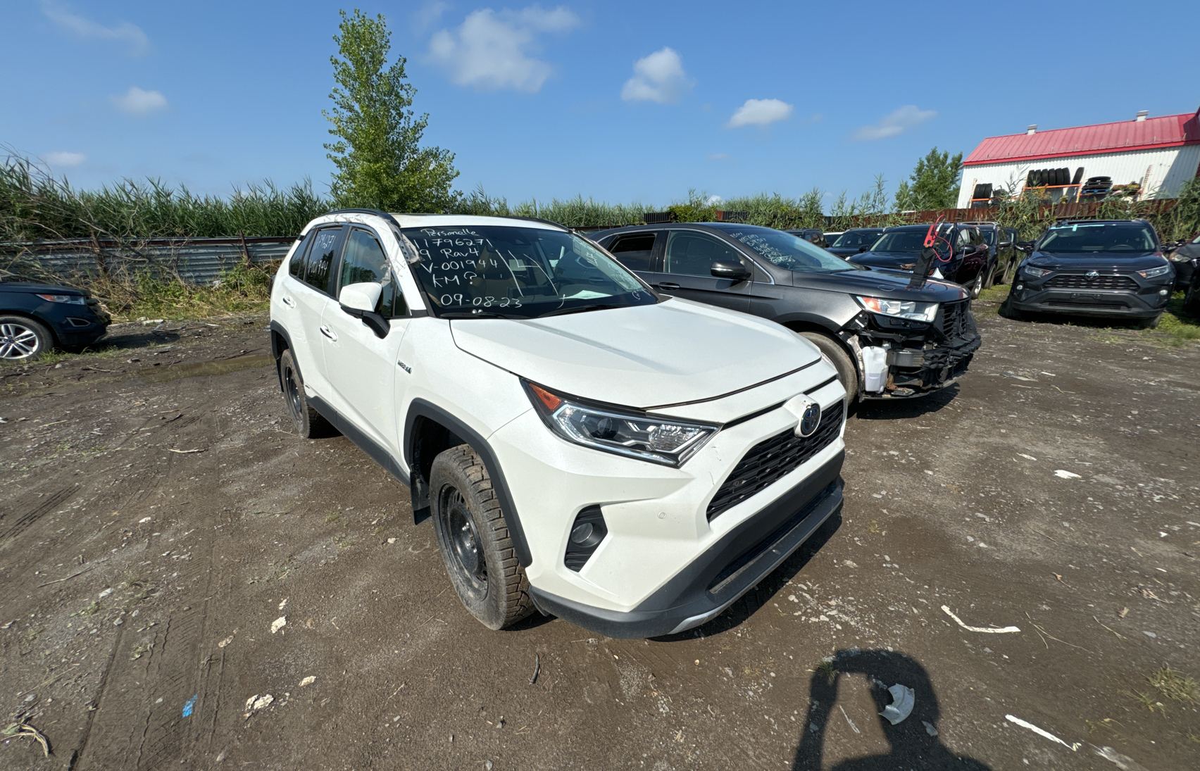 2019 Toyota Rav4 Limited vin: 2T3DWRFV7KW001944