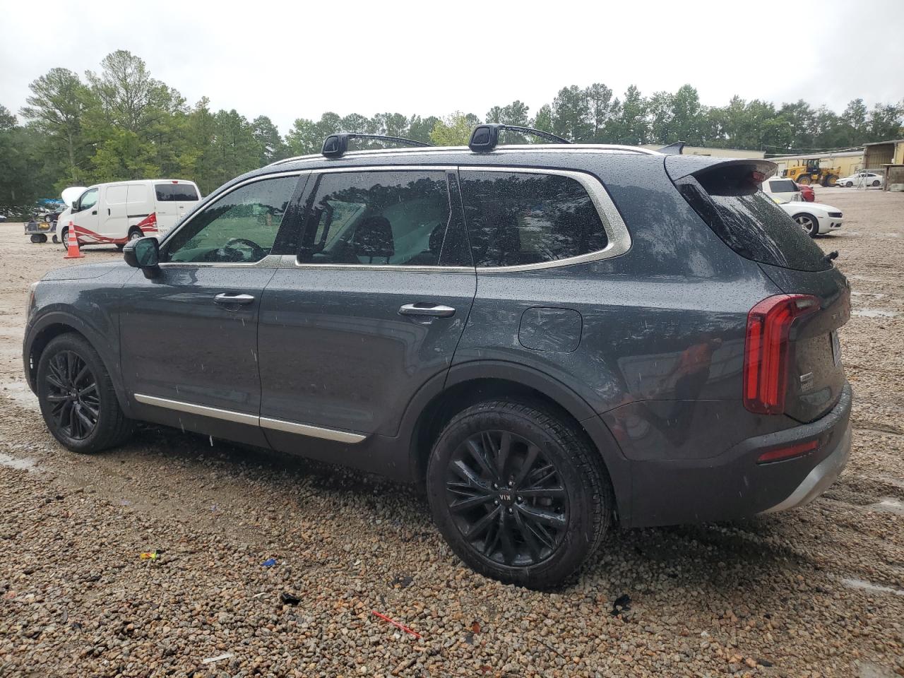 2020 Kia Telluride Sx VIN: 5XYP5DHC0LG031401 Lot: 65887724