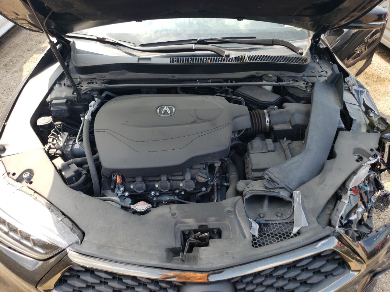 2019 Acura Tlx Technology VIN: 19UUB3F62KA001206 Lot: 65593844