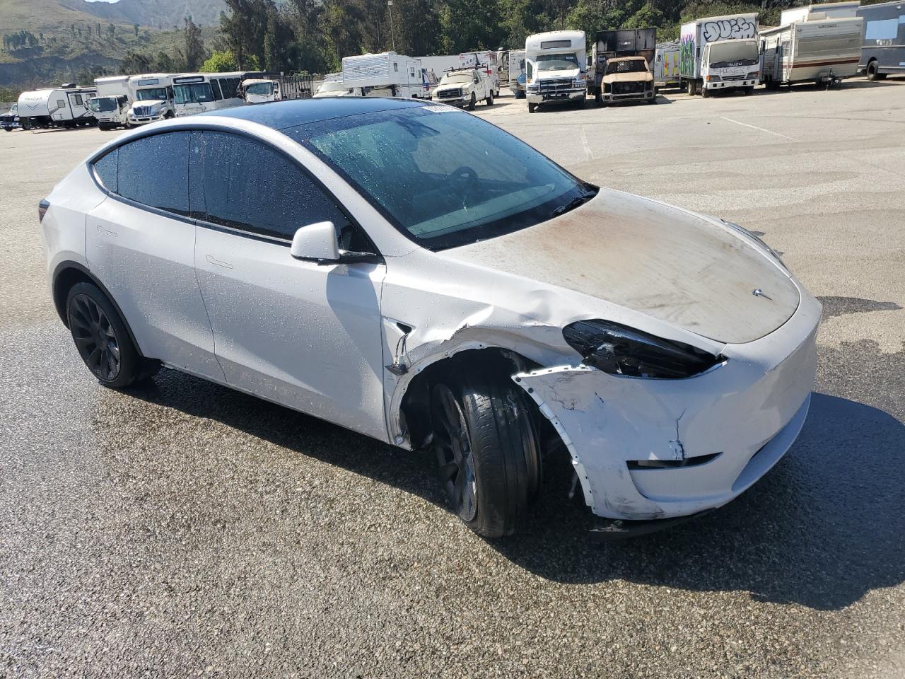 VIN 7SAYGDEE9PA075124 2023 TESLA MODEL Y no.4